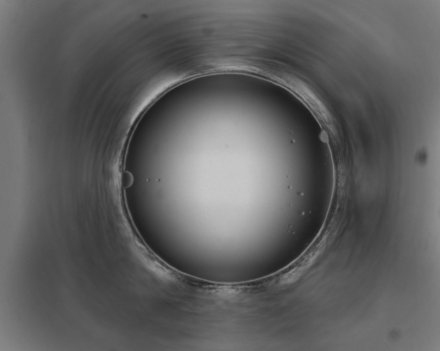 X0000098050814200803281453