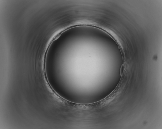 X0000098050815200803281453