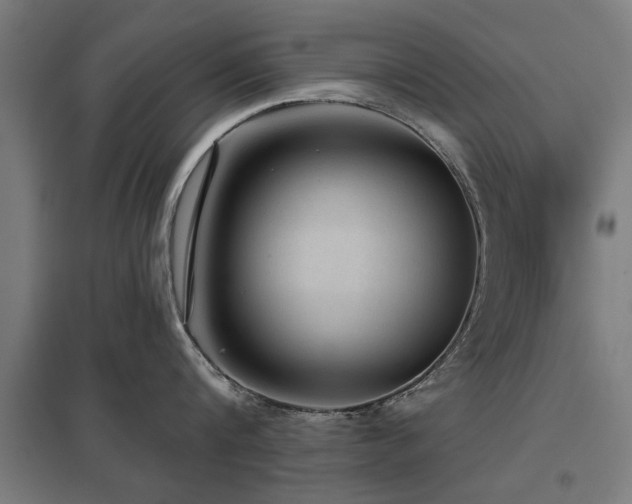 X0000098050816200803281453