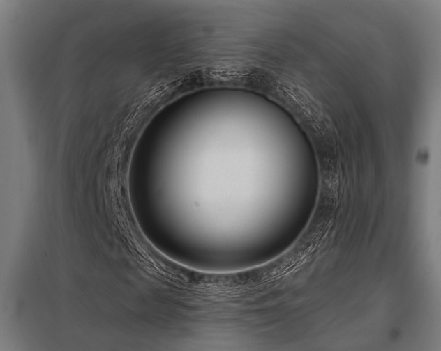 X0000098050817200803281453