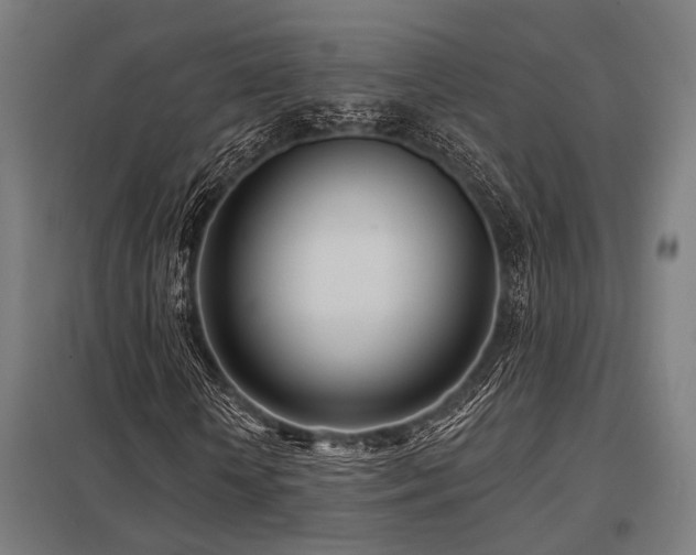 X0000098050818200803281453