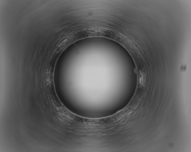 X0000098050819200803281453