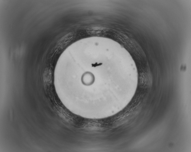 X0000098050820200803281453