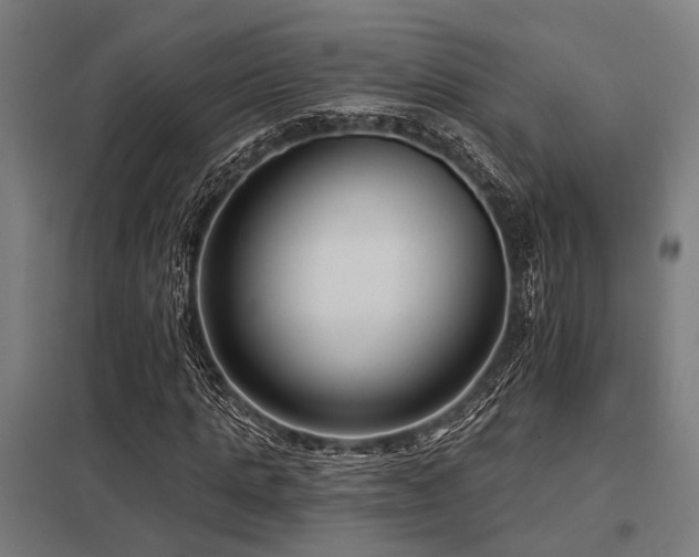 X0000098050821200803281453