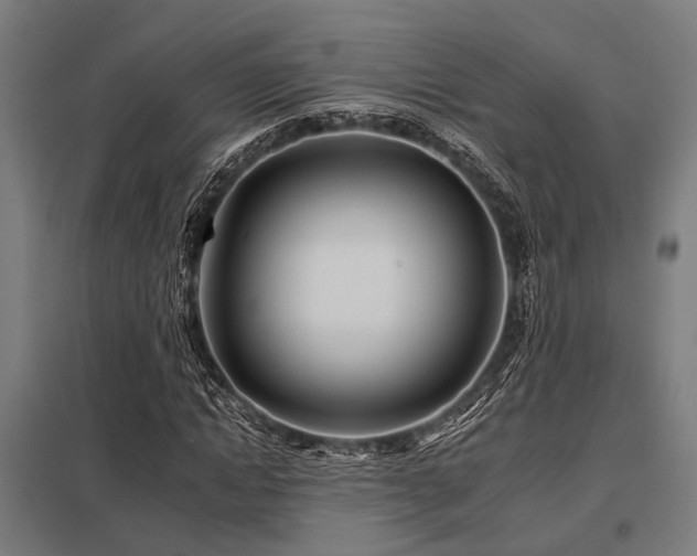 X0000098050822200803281453