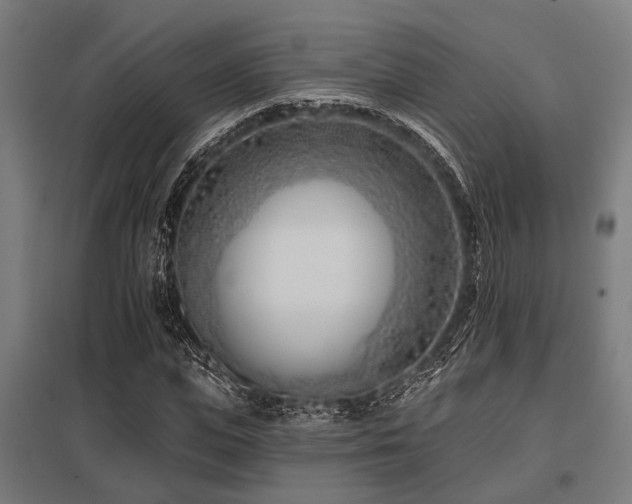 X0000098050823200803281453
