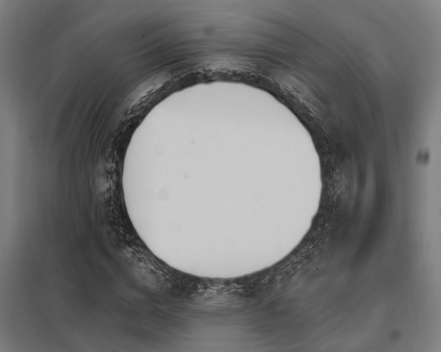 X0000098050824200803281453