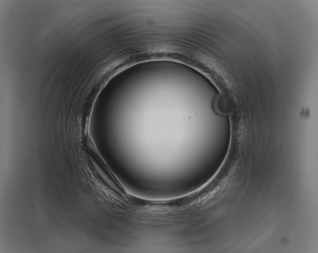X0000098050825200803281453