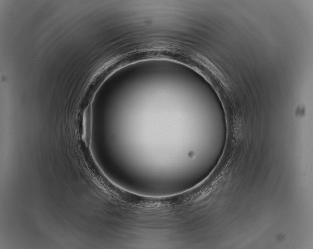 X0000098050826200803281453