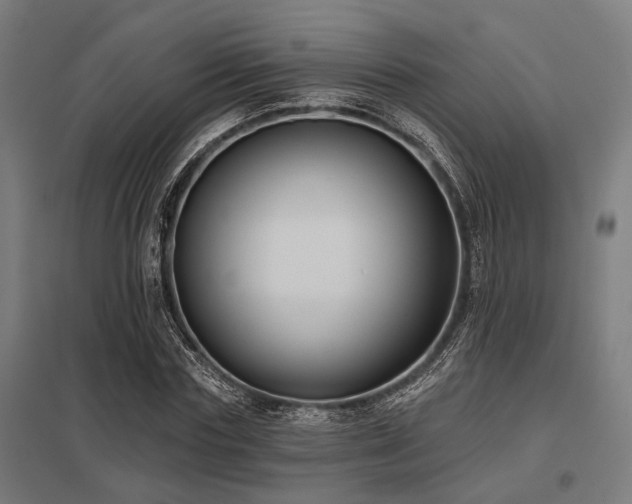 X0000098050827200803281453