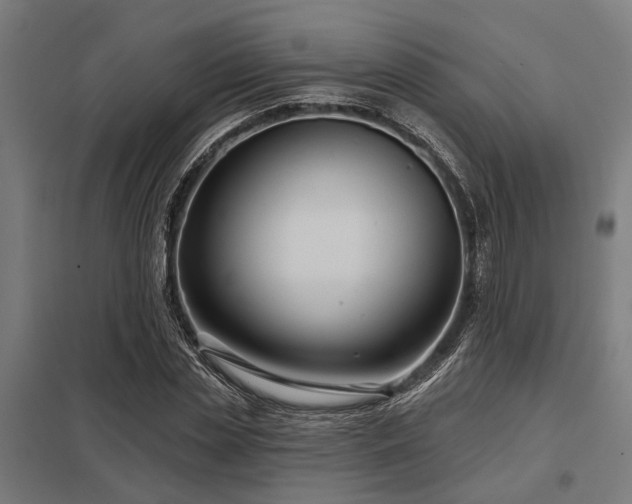 X0000098050829200803281453