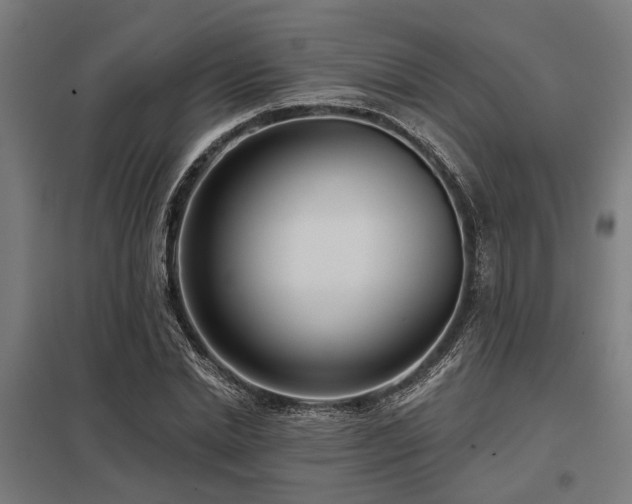 X0000098050830200803281453