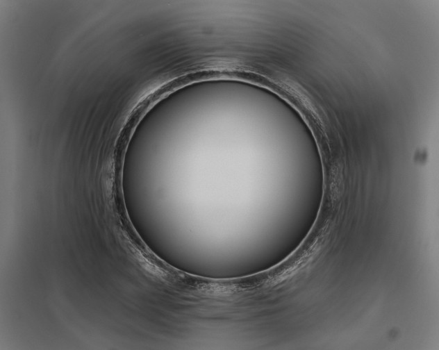 X0000098050831200803281453
