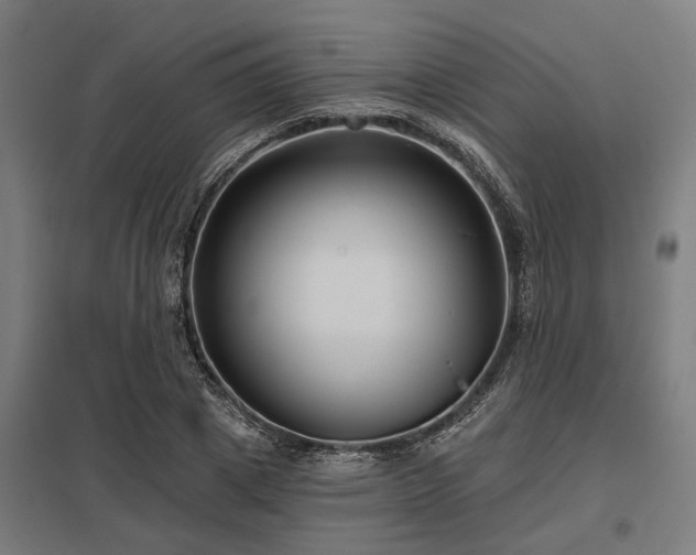 X0000098050833200803281453