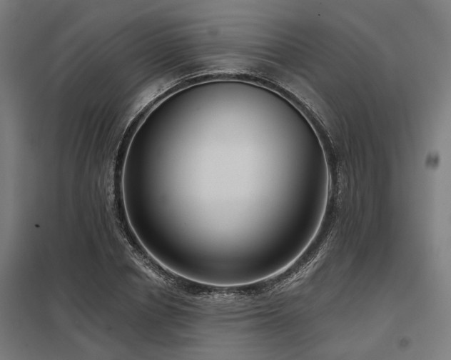 X0000098050834200803281453