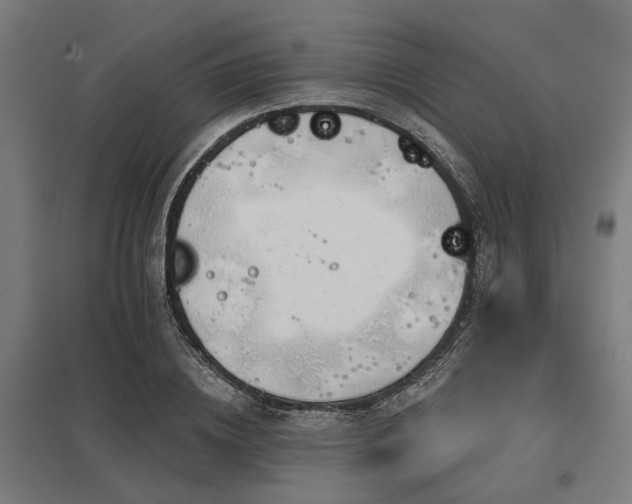 X0000098050836200803281453