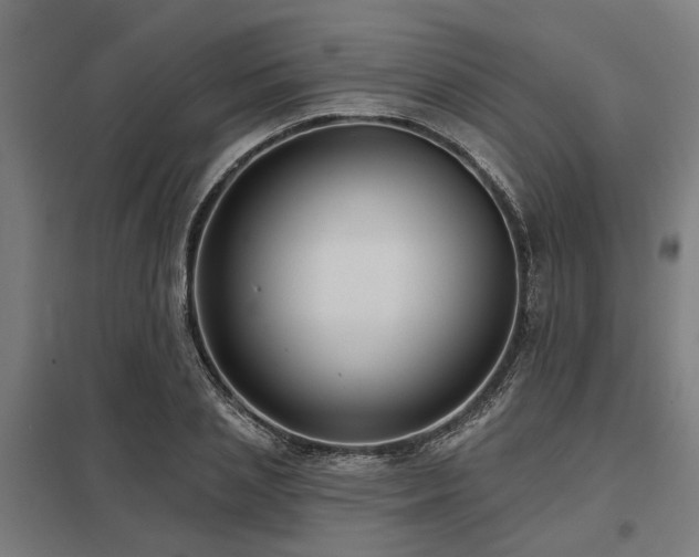 X0000098050837200803281453