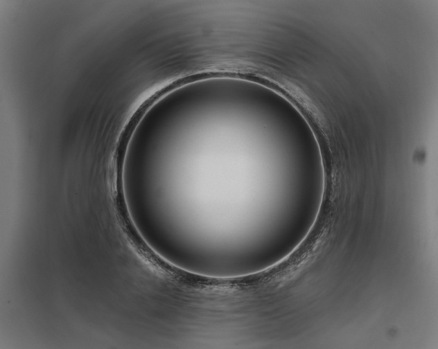 X0000098050838200803281453