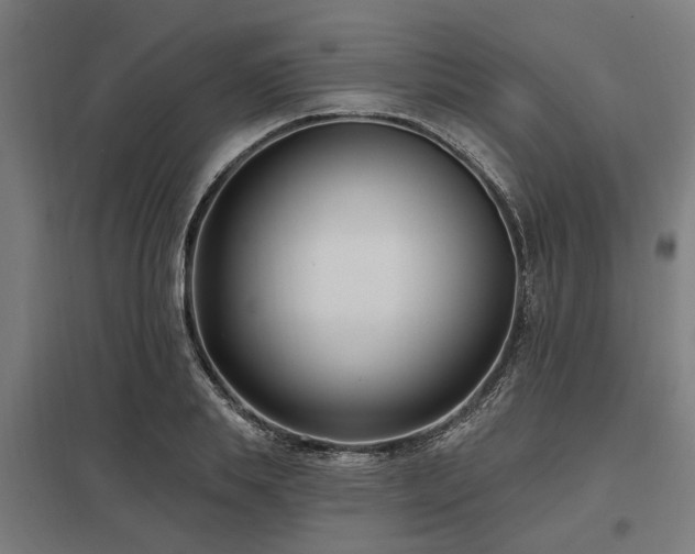 X0000098050839200803281453