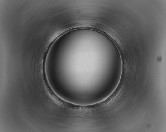 X0000098050842200803281453