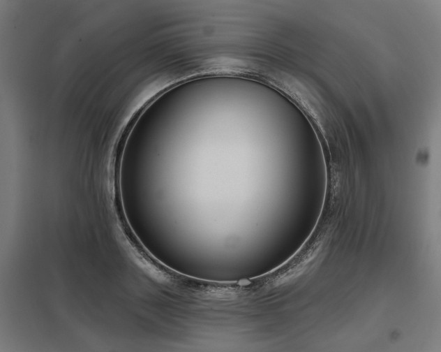 X0000098050843200803281453
