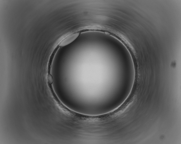 X0000098050845200803281453