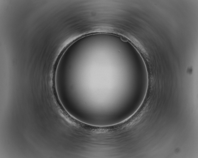 X0000098050846200803281453