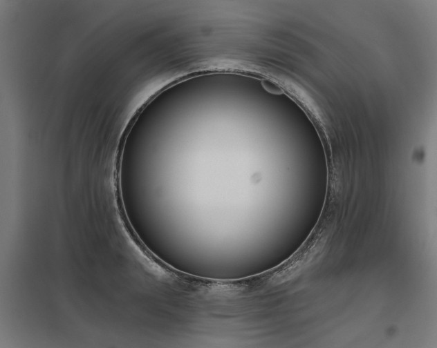 X0000098050847200803281453
