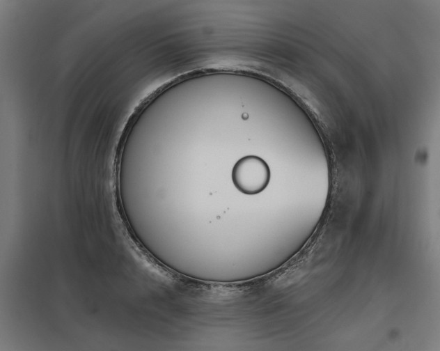 X0000098050848200803281453