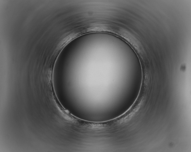 X0000098050849200803281453