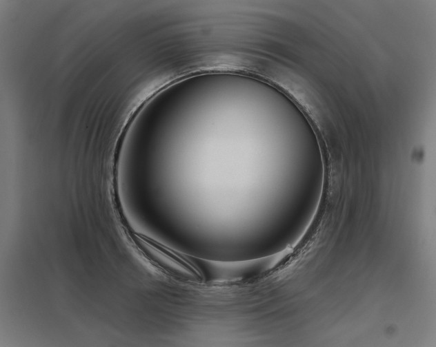 X0000098050850200803281453