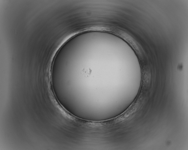X0000098050852200803281453