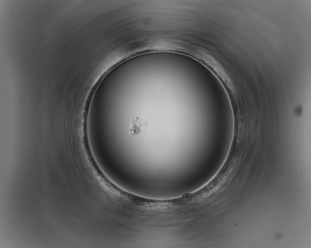 X0000098050853200803281453