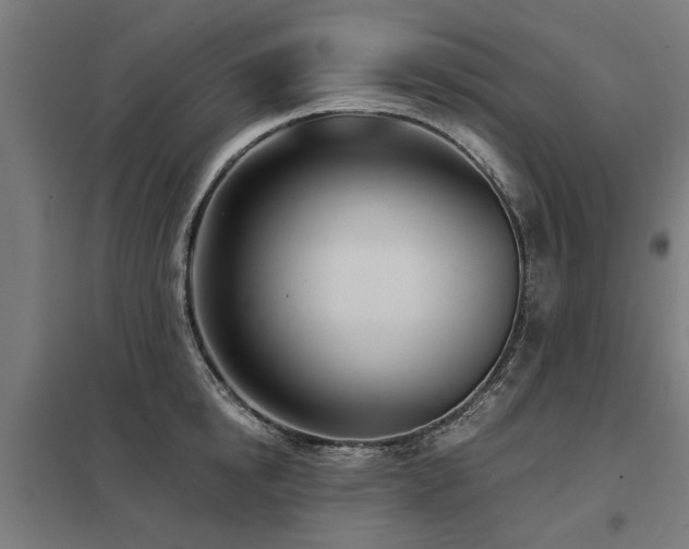 X0000098050854200803281453