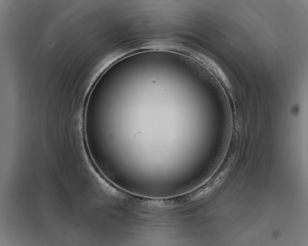 X0000098050855200803281453