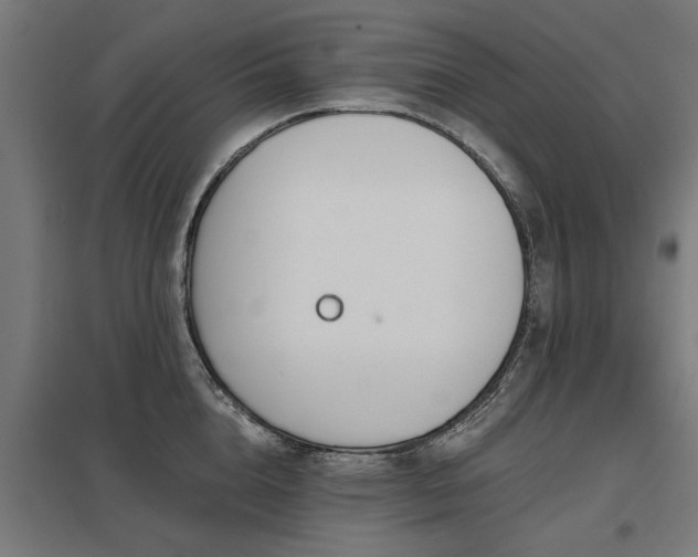 X0000098050856200803281453