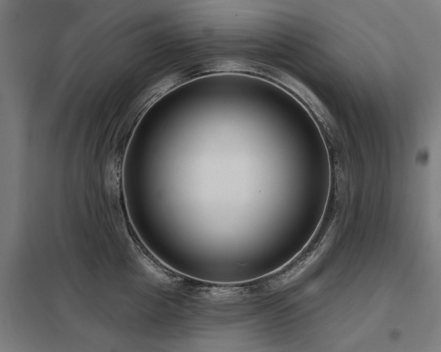 X0000098050857200803281453