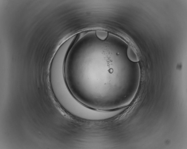 X0000098050858200803281453