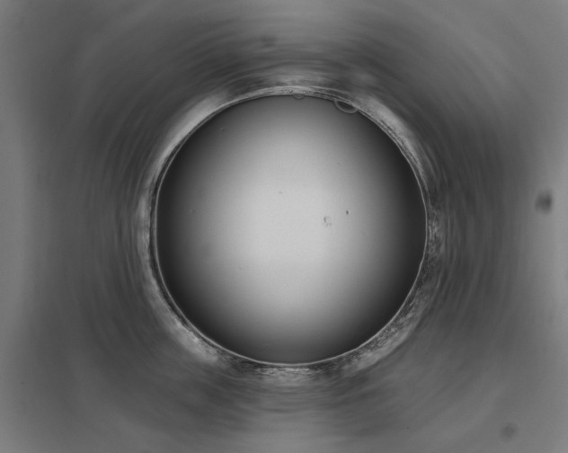 X0000098050859200803281453