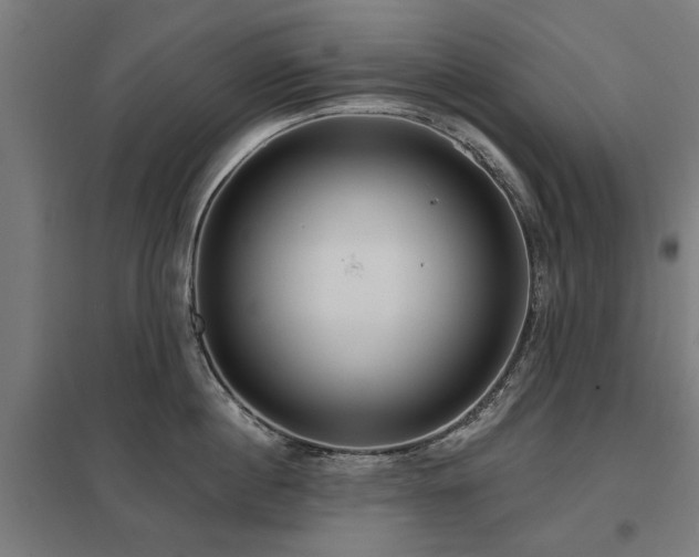 X0000098050860200803281453