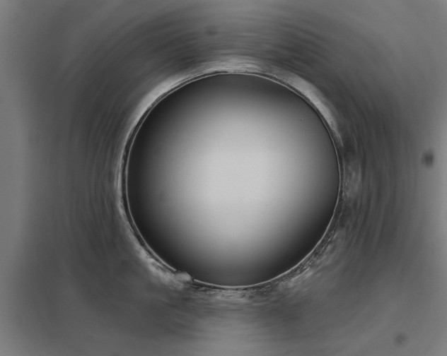 X0000098050861200803281453