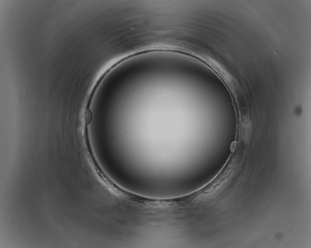 X0000098050862200803281453