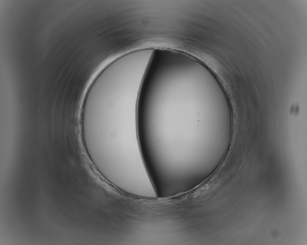 X0000098050864200803281453