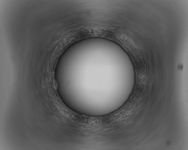 X0000098050865200803281453