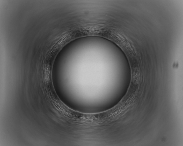 X0000098050866200803281453