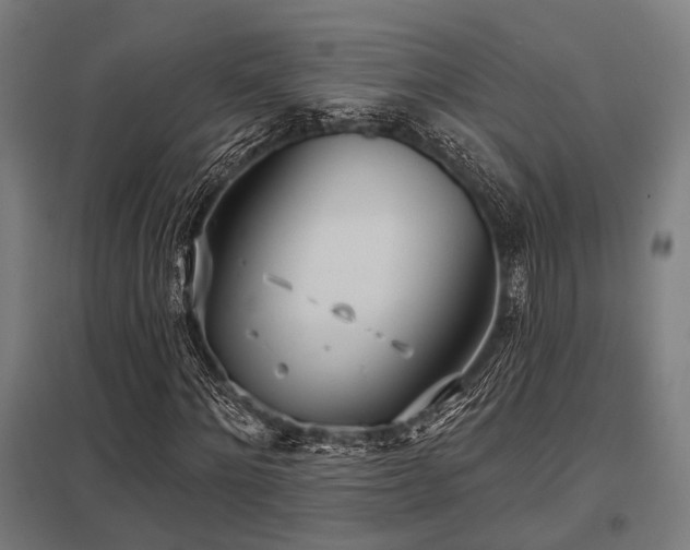 X0000098050868200803281453