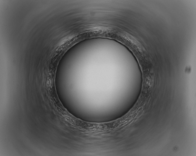 X0000098050869200803281453