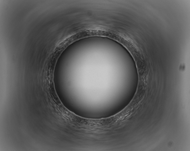 X0000098050870200803281453