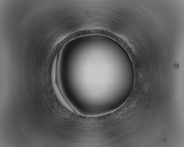 X0000098050871200803281453