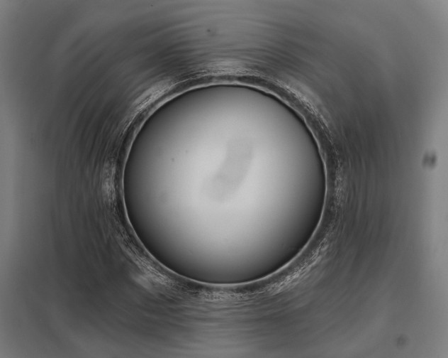 X0000098050873200803281452